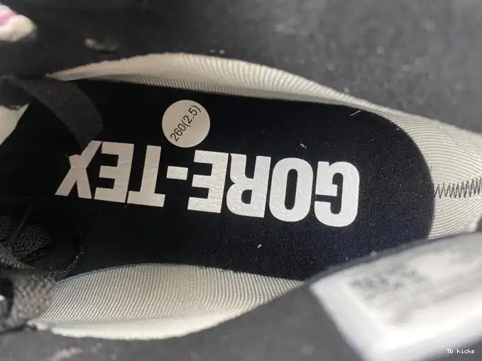 Reps TBK Gore-Tex Element DB2889-500 1 Jordan Air 0428